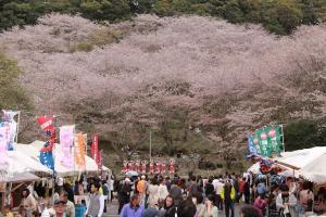 桜祭り