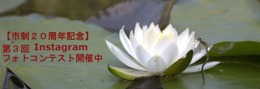 【市制20周年記念】第3回Instagramフォトコンテスト