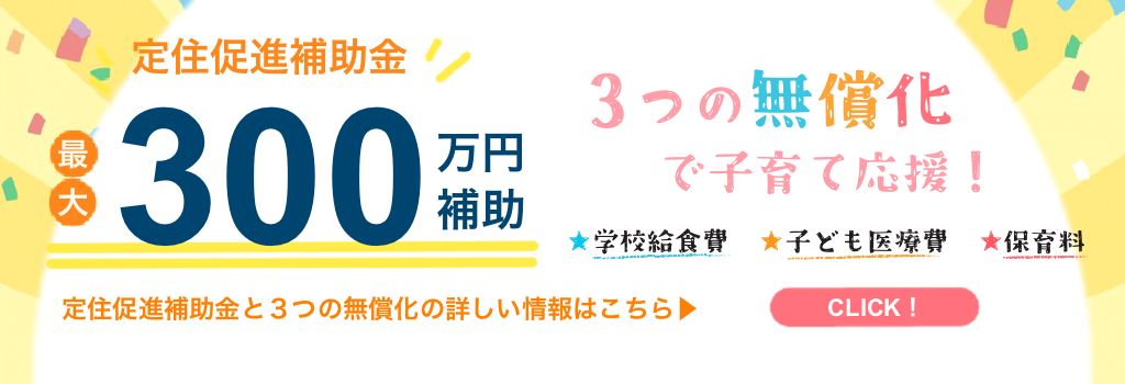 定住促進支援・３つの無償化