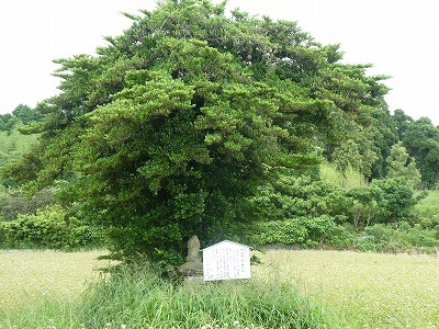 鍋ヶ城1