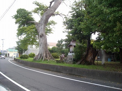 うっがんどんの森