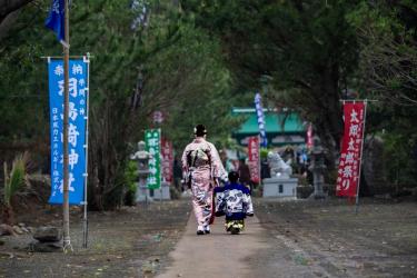 3採用2