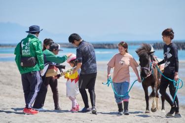4採用1