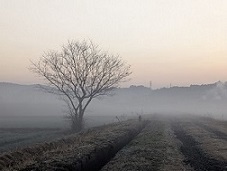 1月その1