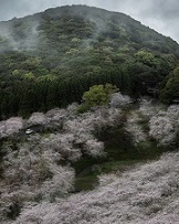 4月その3