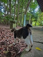 5月その3