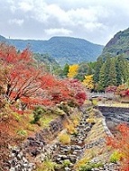 11月その1