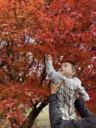 11月その3
