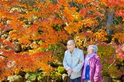 夫婦仲良く紅葉狩り